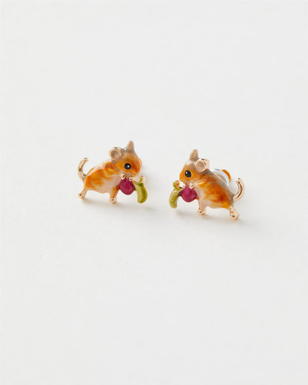 Set Regalo Arvicola